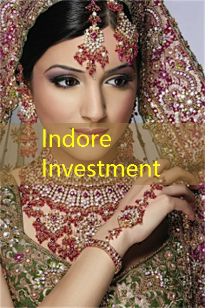 NRI investment options in India- An overview