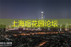 上海后花园：与自然融为一体的乐园等你来寻找