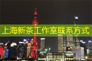 夜晚的艺术：夜上海博物馆和画廊指南！