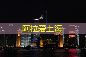 穿越城市喧嚣，体验上海后花园的宁静与美丽！