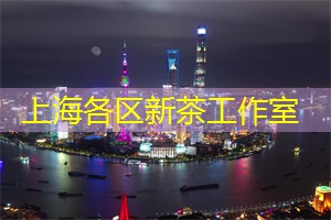 上海举办的国际体育大会分析
